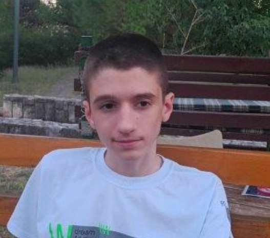 Miloš Gujić